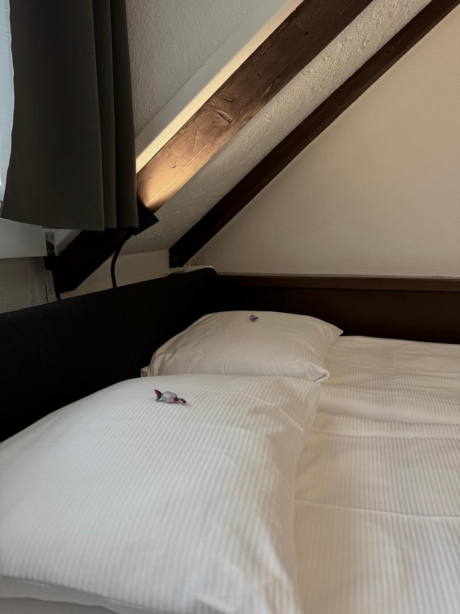 Hotel Baslertor Λουκέρνη Εξωτερικό φωτογραφία
