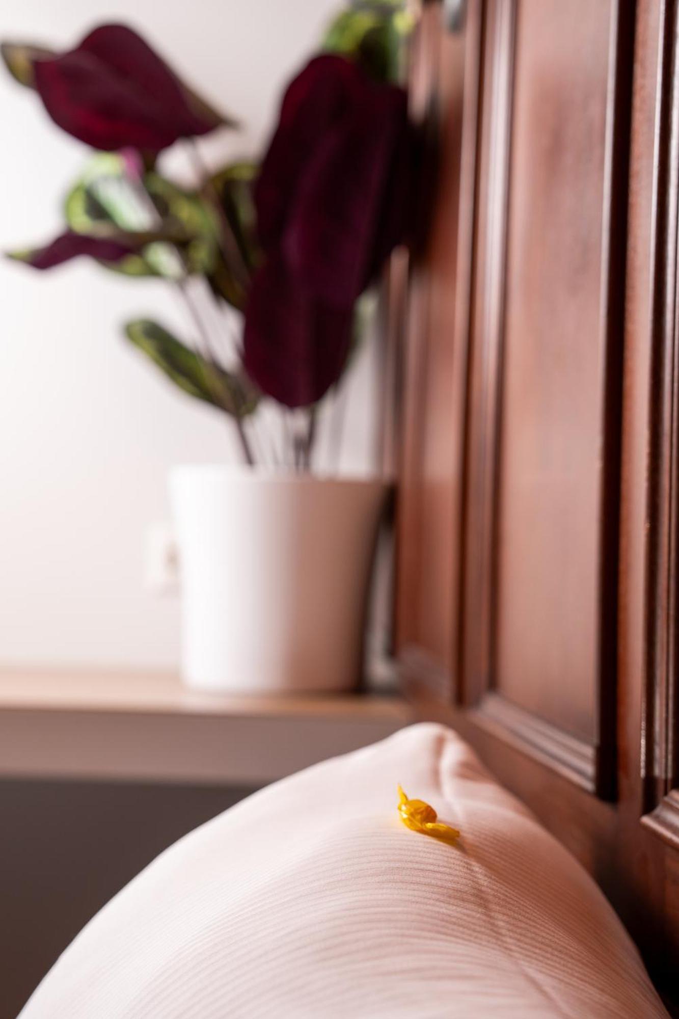 Hotel Baslertor Λουκέρνη Εξωτερικό φωτογραφία